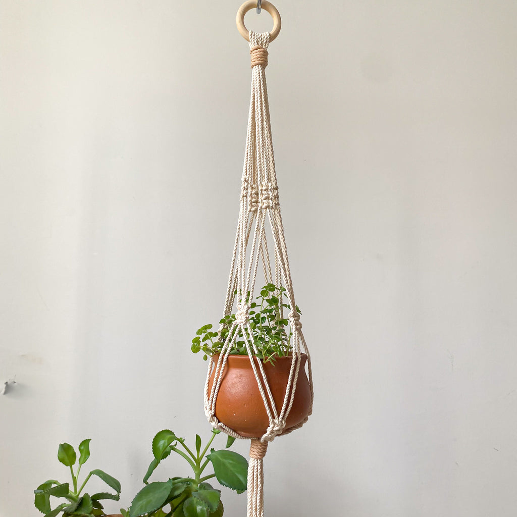 Kit “Colgante para planta”